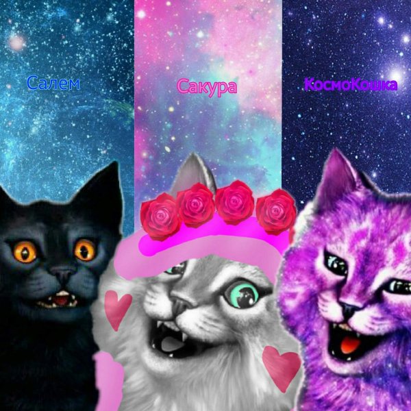 Кот Лео и кошка Лана РОБЛОКС