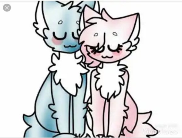 Кошка Лана и кот Лео