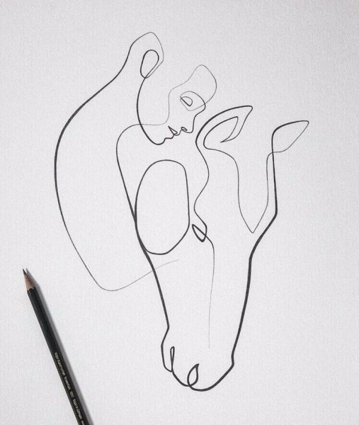 Красивые рисунки одной линией