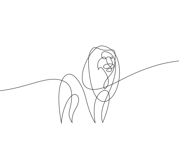 Контур тела девушки