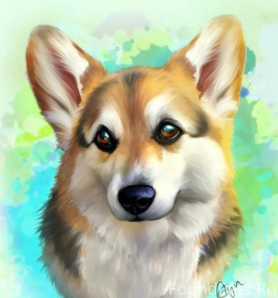 Мультяшный вельш корги пемброк