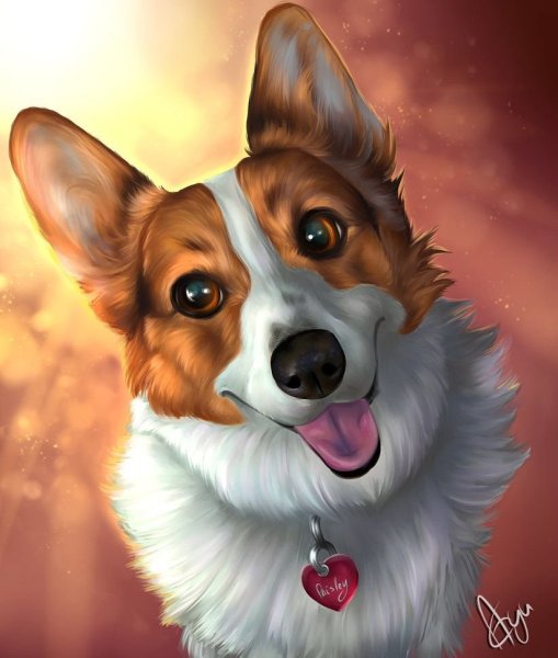 Корги рисунок