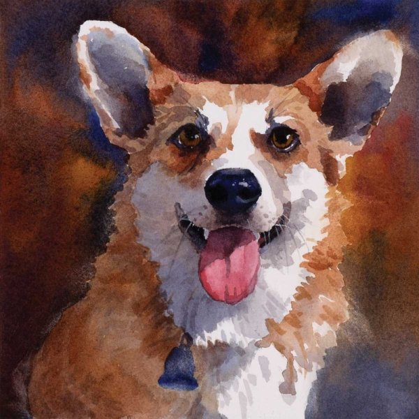 Вельш корги рисунок