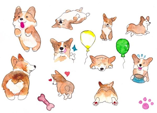 Вельш корги пемброк рисунок