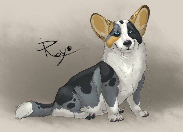 Арт собаки Сибу ино Акито милые