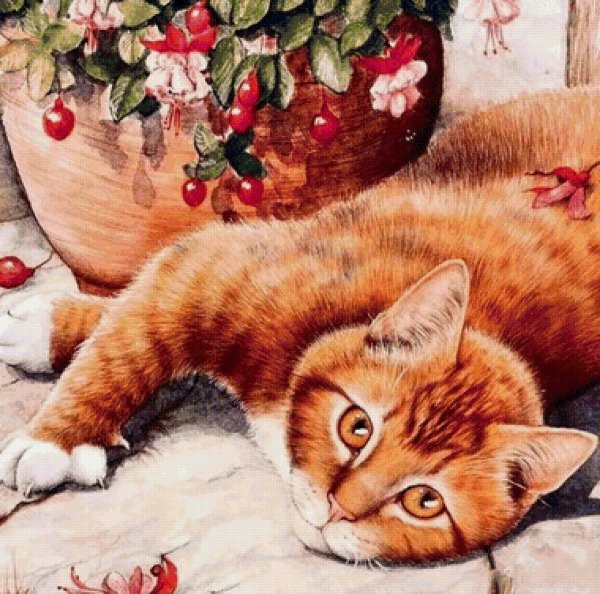 Картины кошки Дебби Кук