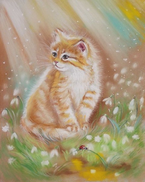 Виктория Кирдий котики