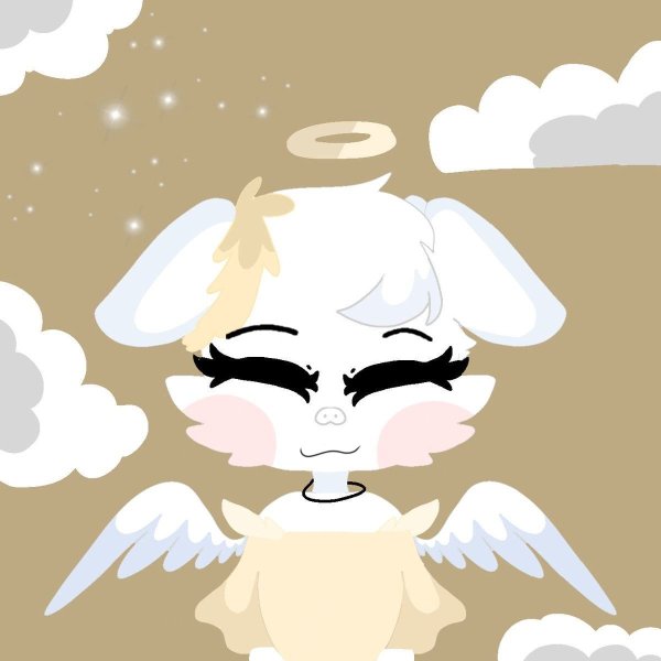 Вакфу ева и Амалия