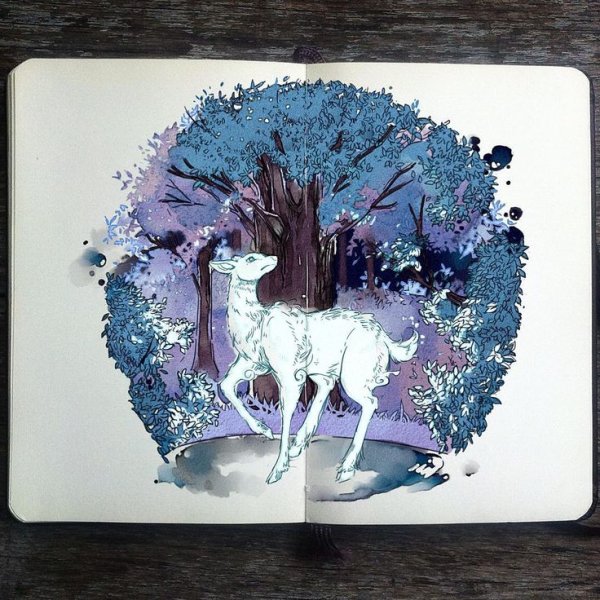 Габриэль Пикколо Гарри Поттер