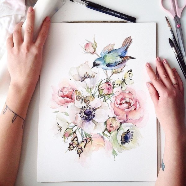 Акварельные иллюстрации