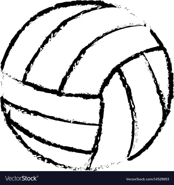 Волейбольный мяч черно белый