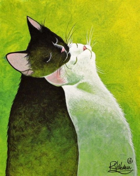 Котик обнимает