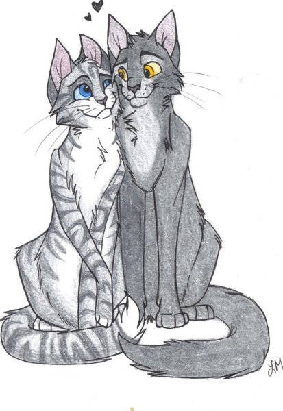 Коты Воители Крутобок