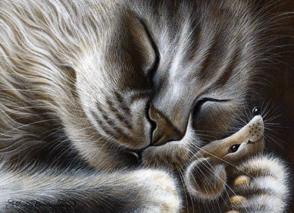 Картины Ирины Гармашовой коты