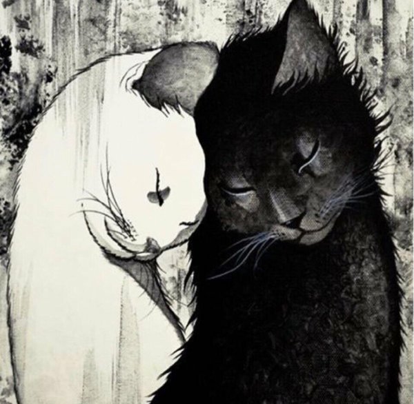 Кот и кошка арт