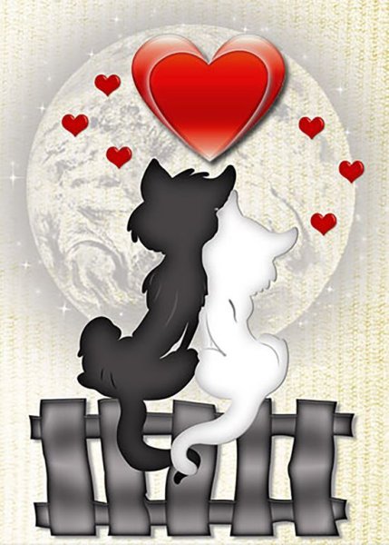 Котики любовь