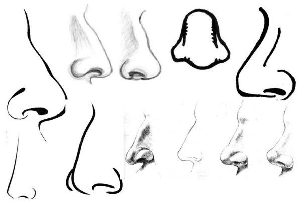 Нос рисунок