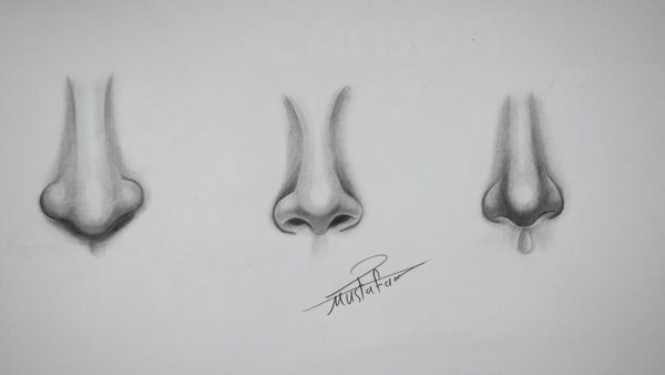 Нос карандашом