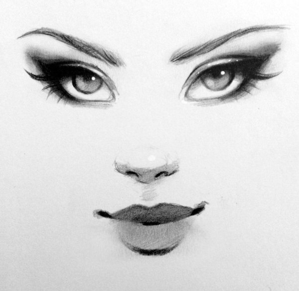 Зарисовки носа