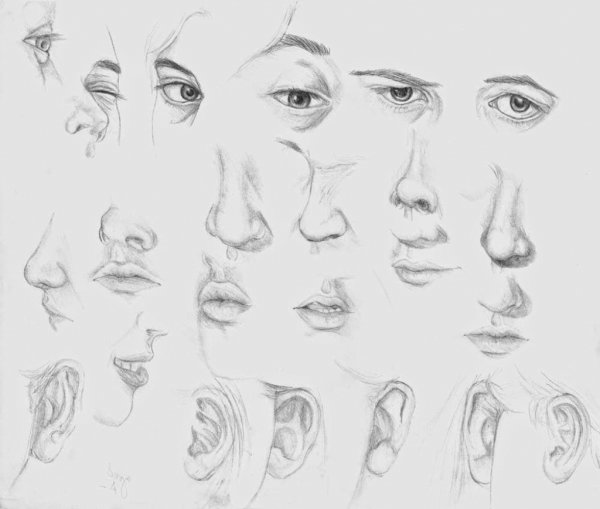 Нарисовать нос