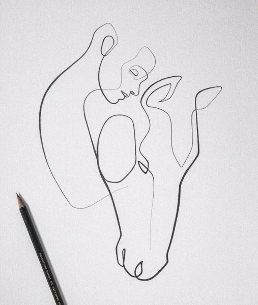 Красивые рисунки одной линией