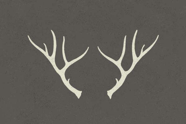 Оленьи рога стилизация