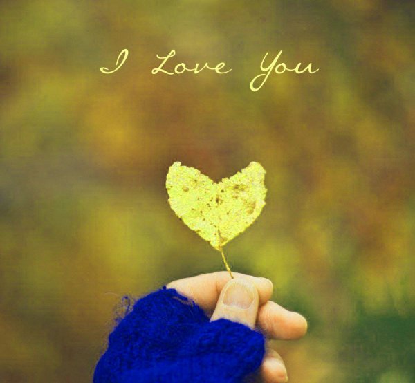 Красивые статусы для ватсапа в картинках