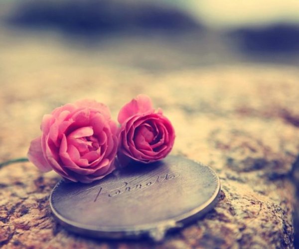 Мусульманские цветы гиф