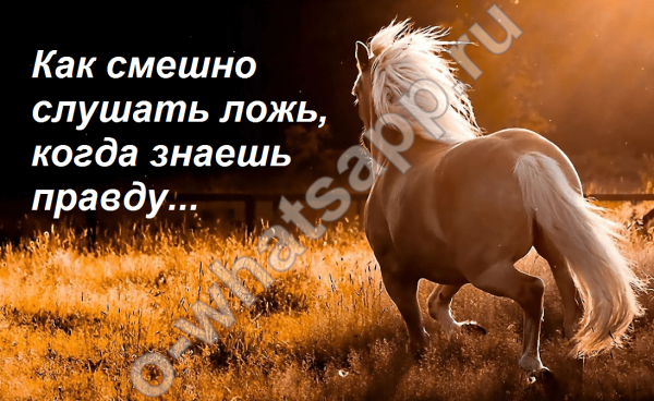 Прикольные аватарки про любовь