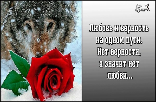 Классные заставки на статус