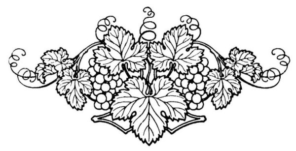 Виноградная лоза орнамент