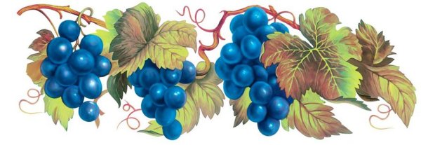 Виноградная лоза для детей