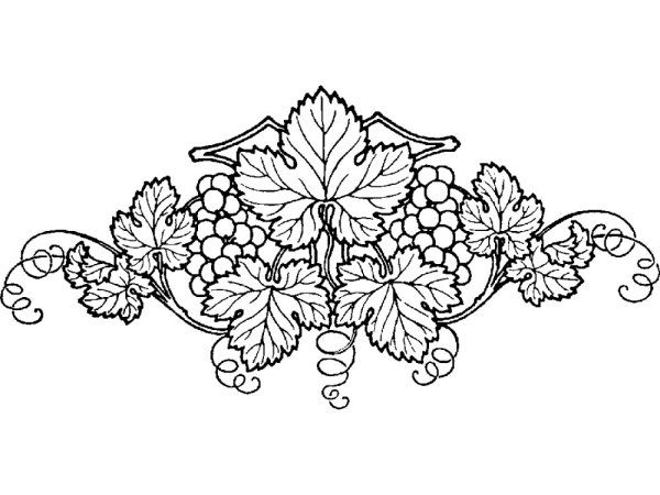 Церковный орнамент Виноградная лоза