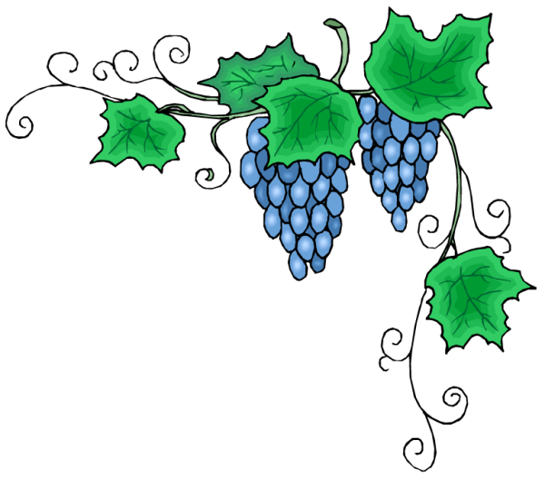 Виноградная лоза арка вектор
