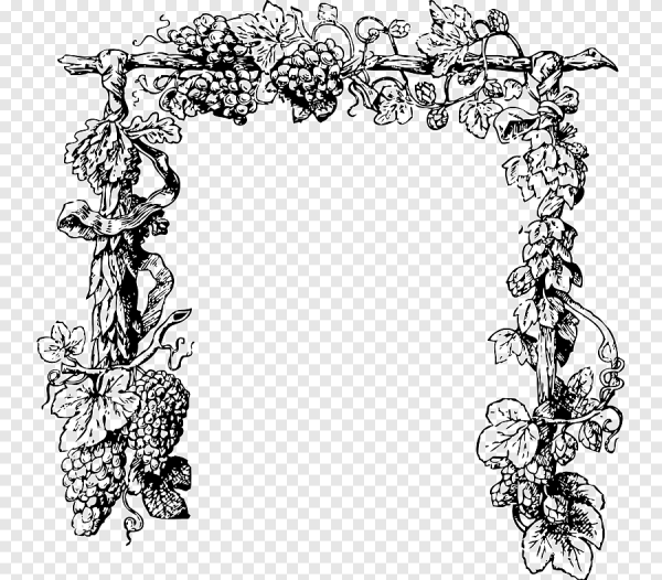 Виньетка Виноградная лоза