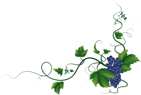 Орнамент лоза винограда