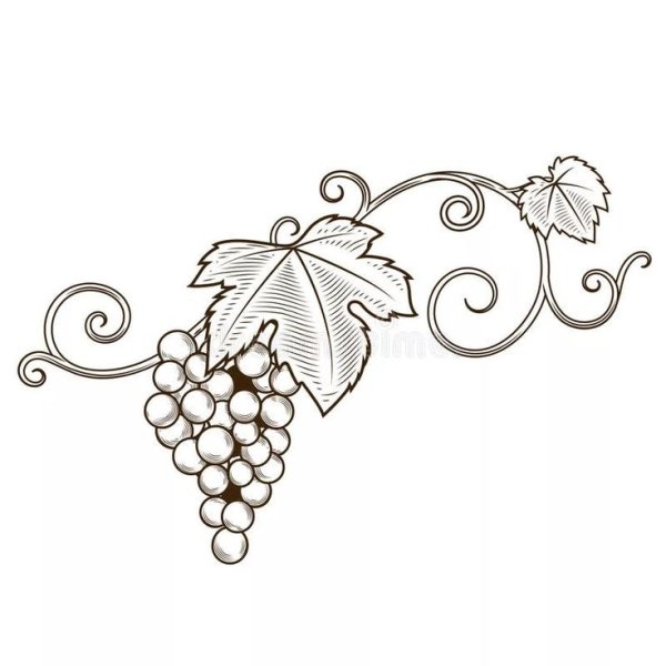Трафарет для росписи виноградных