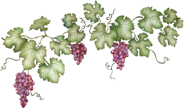 Виньетка Виноградная лоза