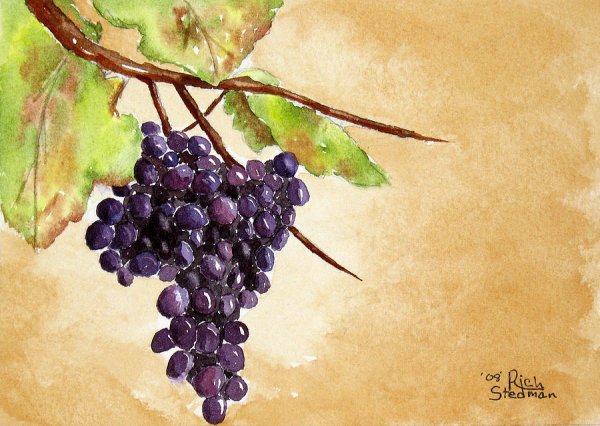 Виноградная лоза этикетка