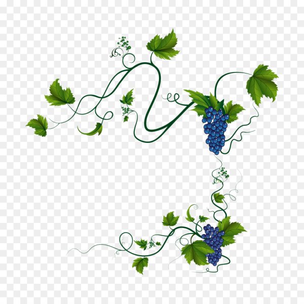 Живопись Вита Козак,виноград