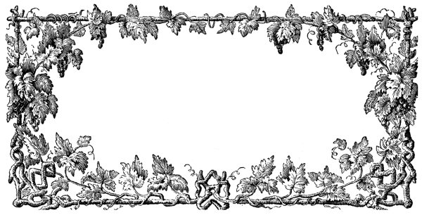 Виноградная лоза vector svg