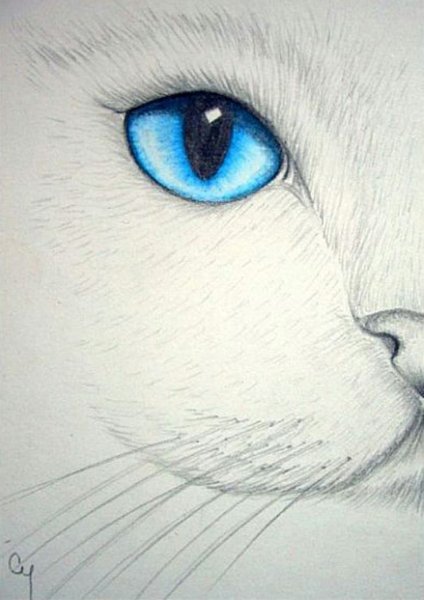 Когачий глаза карандашом