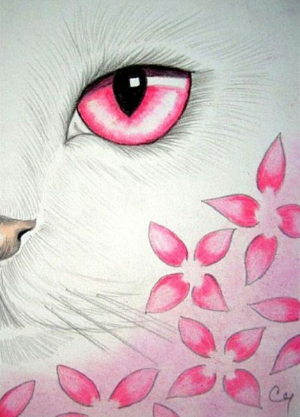 Кошка с розовыми глазами