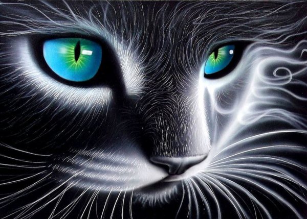 Сверкающие глаза кошки