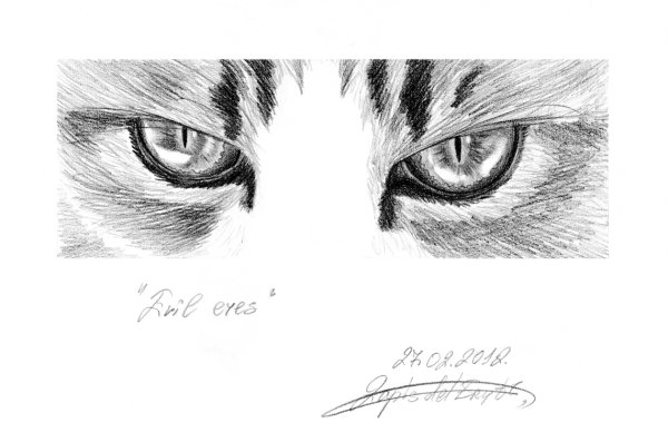 Кошачий глаз