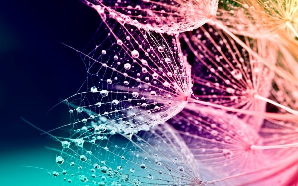 Красивые картины на телефон