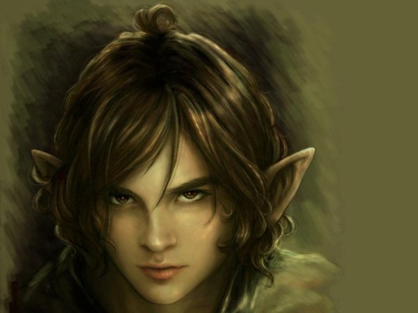 Эльфы парни