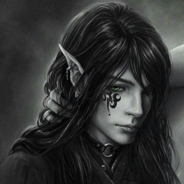 Sakimichan эльфы парни