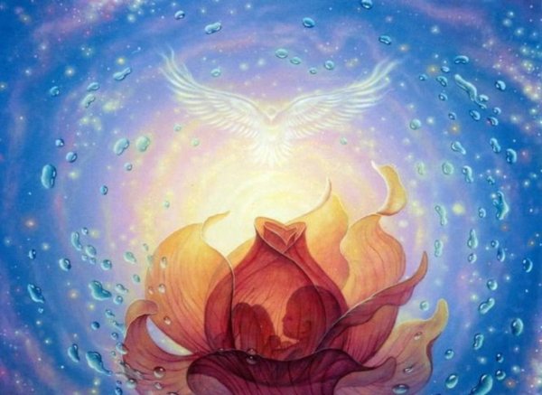 Лотос просветление
