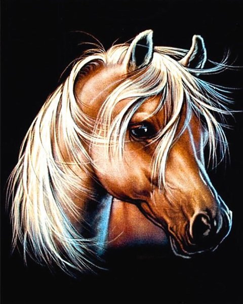 Лошадь арт
